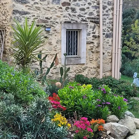 Situe Dans Saint-raphael Bed & Breakfast