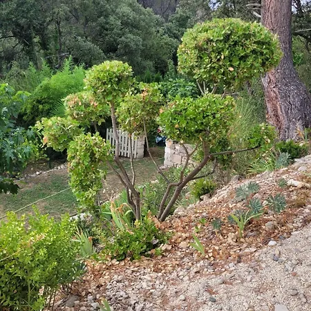 Situe Dans Saint-raphael Bed & Breakfast 4*